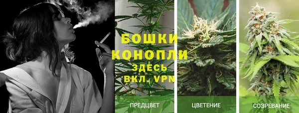 гидра Волоколамск