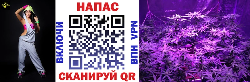 Марихуана планчик Иваново